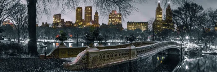 NEW YORK BOW BRIDGE CENTRAL PARK