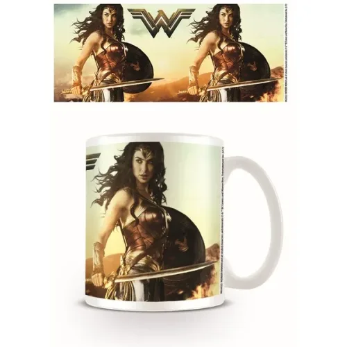 WONDER WOMAN - FIERCE (MUGS)